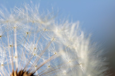 Similar image 635922