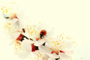 Similar image 635930