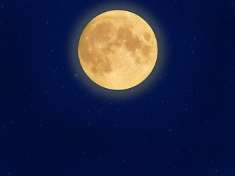 Similar image 635935