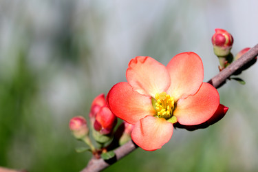 Similar image 635937