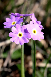 Similar image 635938