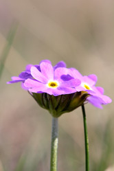 Similar image 635939