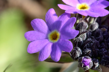 Similar image 635941