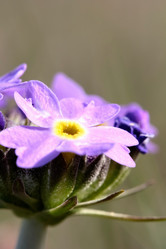 Similar image 635942