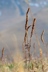 Similar image 635945