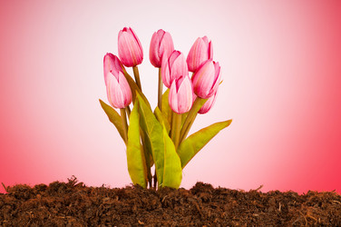 Similar image 635963