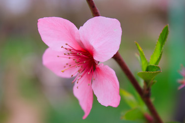 Similar image 635980