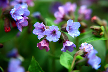 Similar image 635985