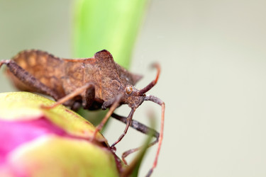 Similar image 635994