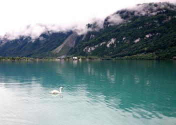 Similar image 635998