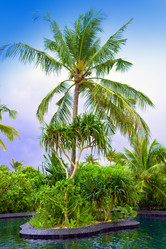 Similar image 636005