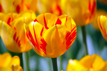 Similar image 636033