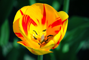 Similar image 636036