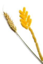 Similar image 636055