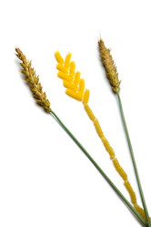 Similar image 636057