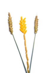 Similar image 636058