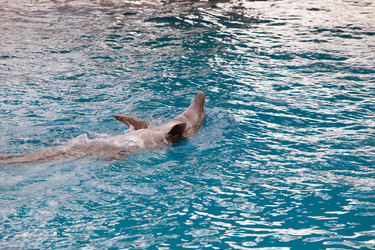 Similar image 636073