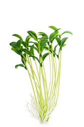 Similar image 636118