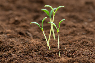 Similar image 636119