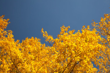 Similar image 636187