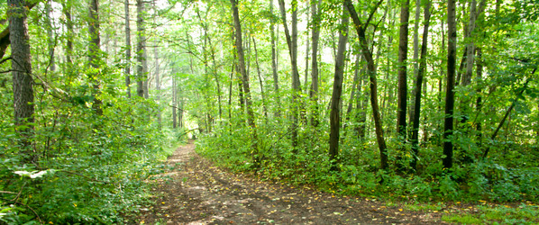 Similar image 636223