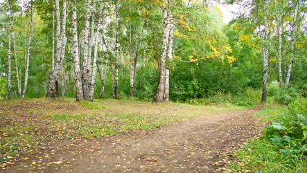 Similar image 636227