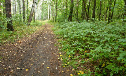 Similar image 636231