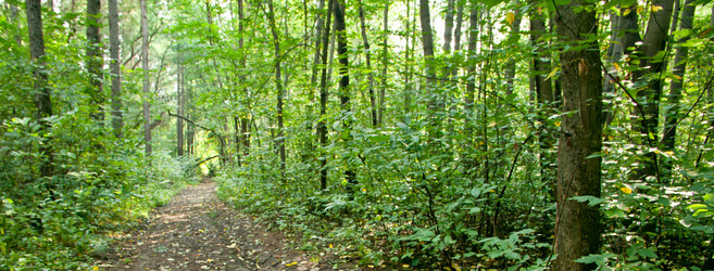 Similar image 636233