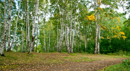 Similar image 636235