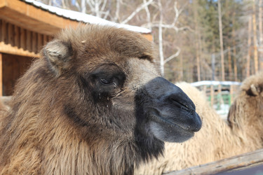 Similar image 636237