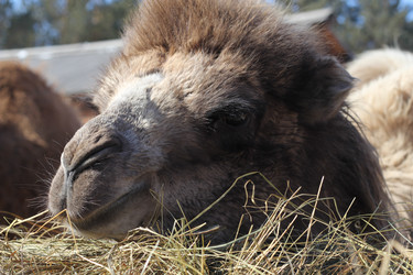 Similar image 636238