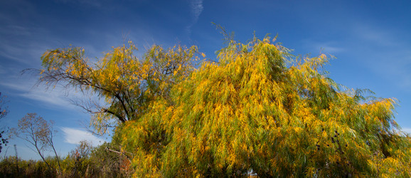 Similar image 636240