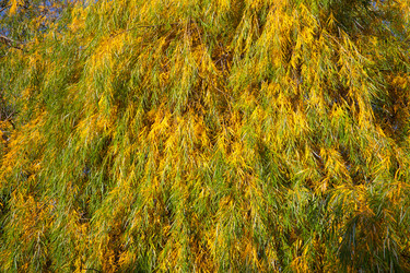 Similar image 636241