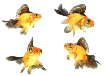 Similar image 636333