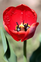 Similar image 636335