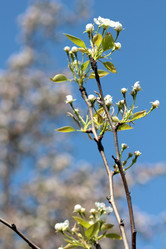 Similar image 636338