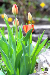 Similar image 636339