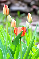 Similar image 636341