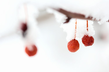 Similar image 636346