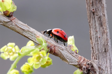 Similar image 636349