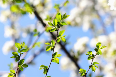 Similar image 636352