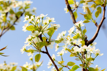 Similar image 636353