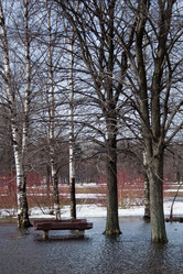 Similar image 636500