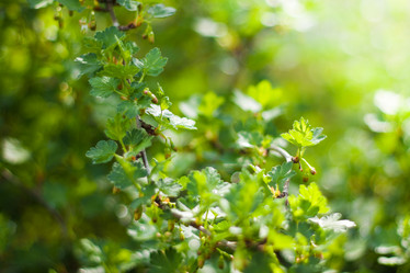 Similar image 636501