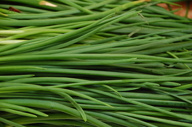 Similar image 636504