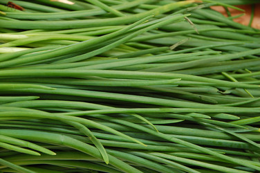 Similar image 636505