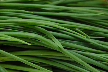 Similar image 636506