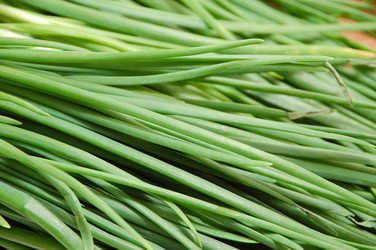 Similar image 636507