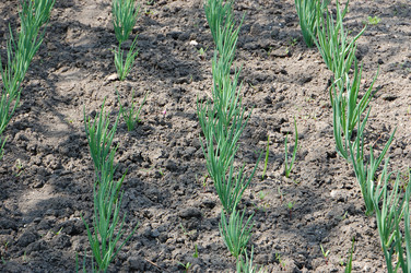 Similar image 636509