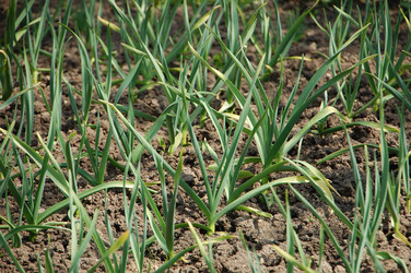 Similar image 636510